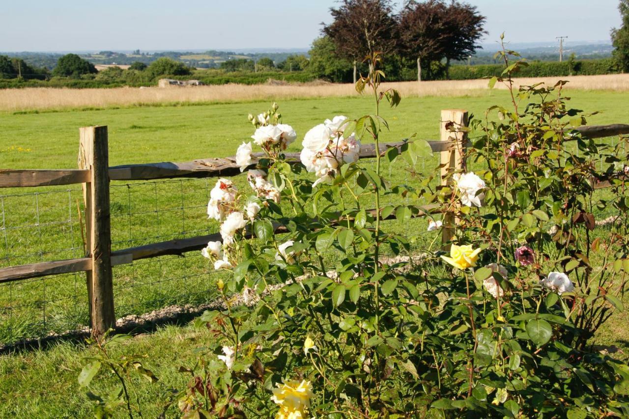 Bewl Rookery B&B Wadhurst Exteriér fotografie